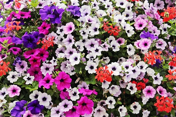 老师对学生的结课寄语-25句