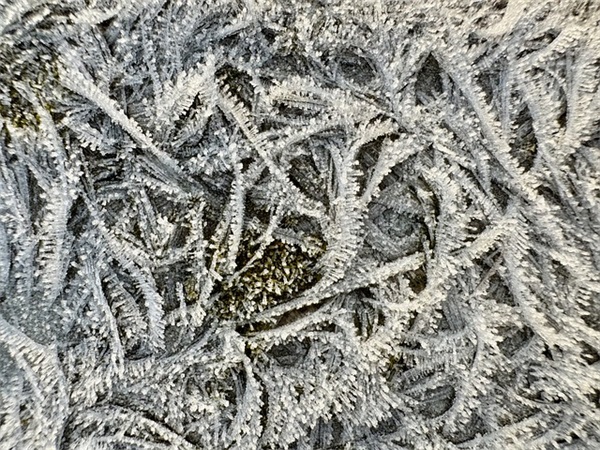 对校友寄语-26句 对校友寄语-26句