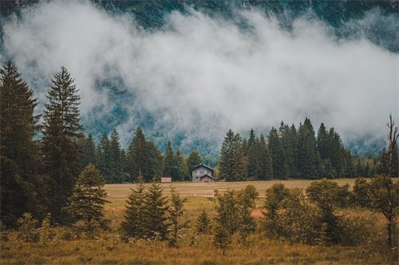 教育学教育论文 教育学教育论文