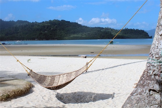 培训机构招生方案范文(通用十八篇)