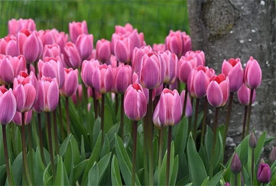 展览会总结报告范文通用26篇