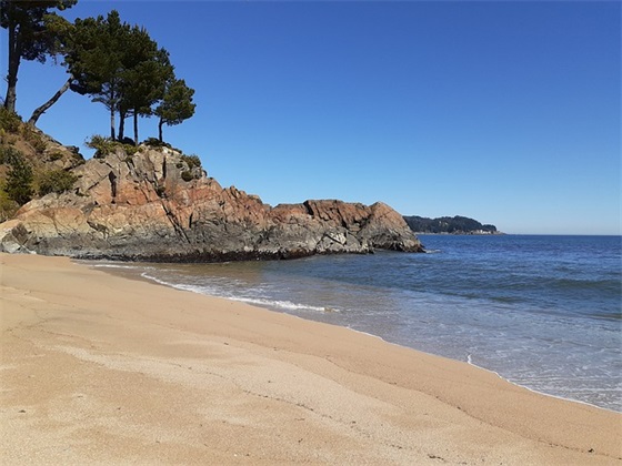 完整住院病历书写范文(推荐十二篇)