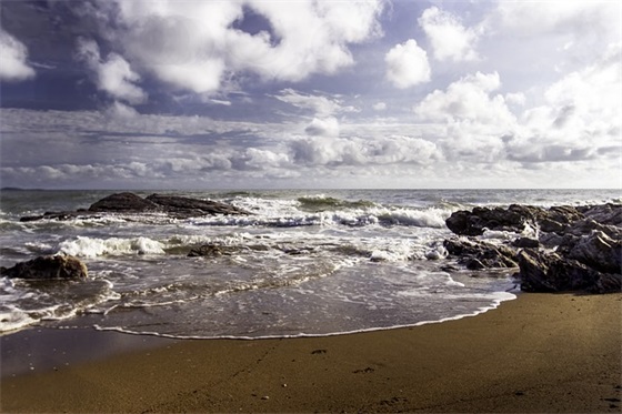 环境卫生倡议书精选15篇