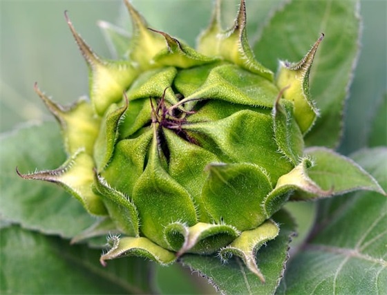 领证后晒幸福简短文艺说说,领证朋友圈怎么发文字 领证后晒幸福简短文艺说说,领证朋友圈怎么发文字