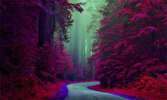 吃什么食物降火好