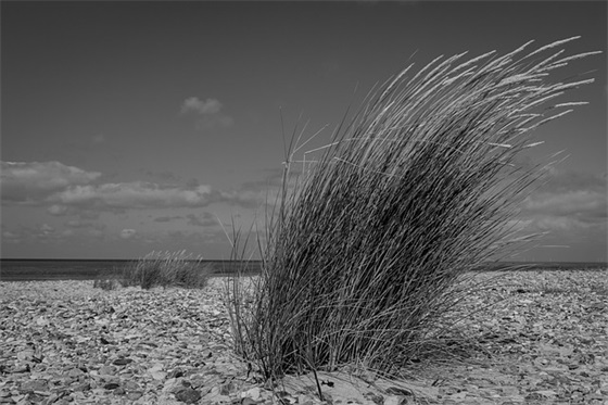 幼儿成长寄语老师的话 【幼儿园成长老师寄语大全】