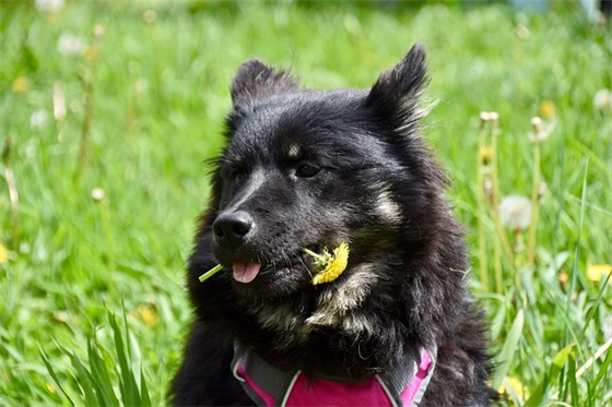 父母寄语精选一句话 【高三父母寄语精选一句话】