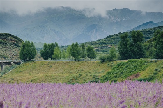 高考寄语或鼓励的话2025 【高考寄语或鼓励的话2025作文】