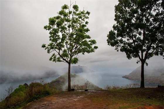 感谢顾客幽默风趣句子摘录(53句)