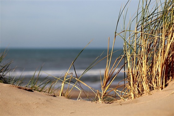 家长给军训孩子的寄语 【家长对孩子军训寄语和鼓励一封信】
