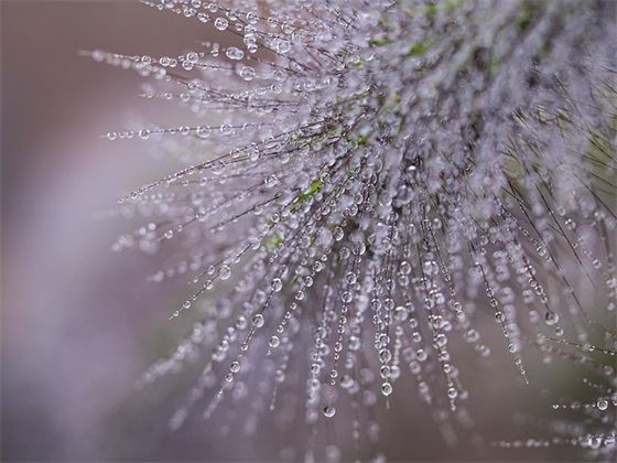 致小学毕业生的励志寄语 【致小学毕业生的励志寄语简短】
