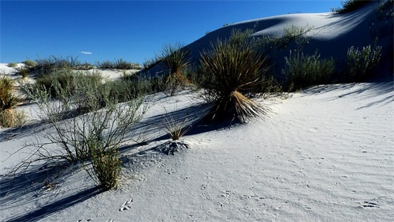 带糯叽叽的网名女士英文